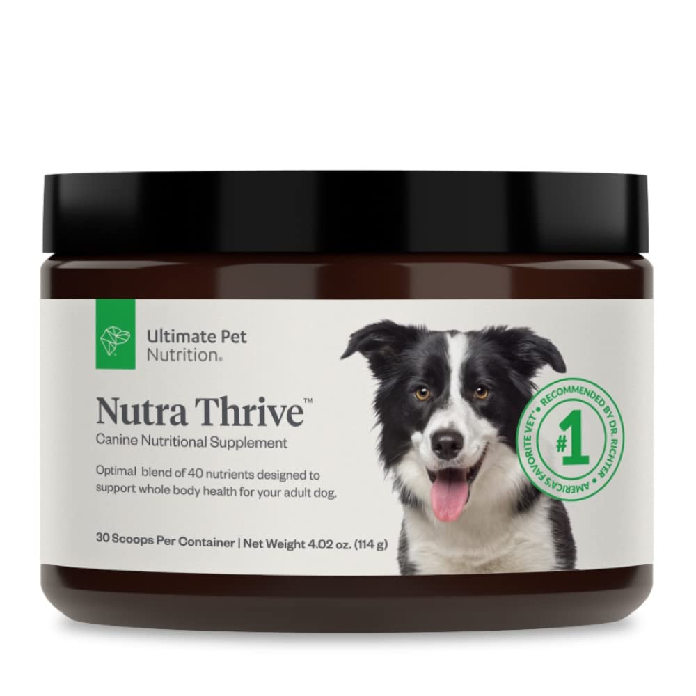 40-in-1 Nutritional Powder Supplement for Dogs L267220