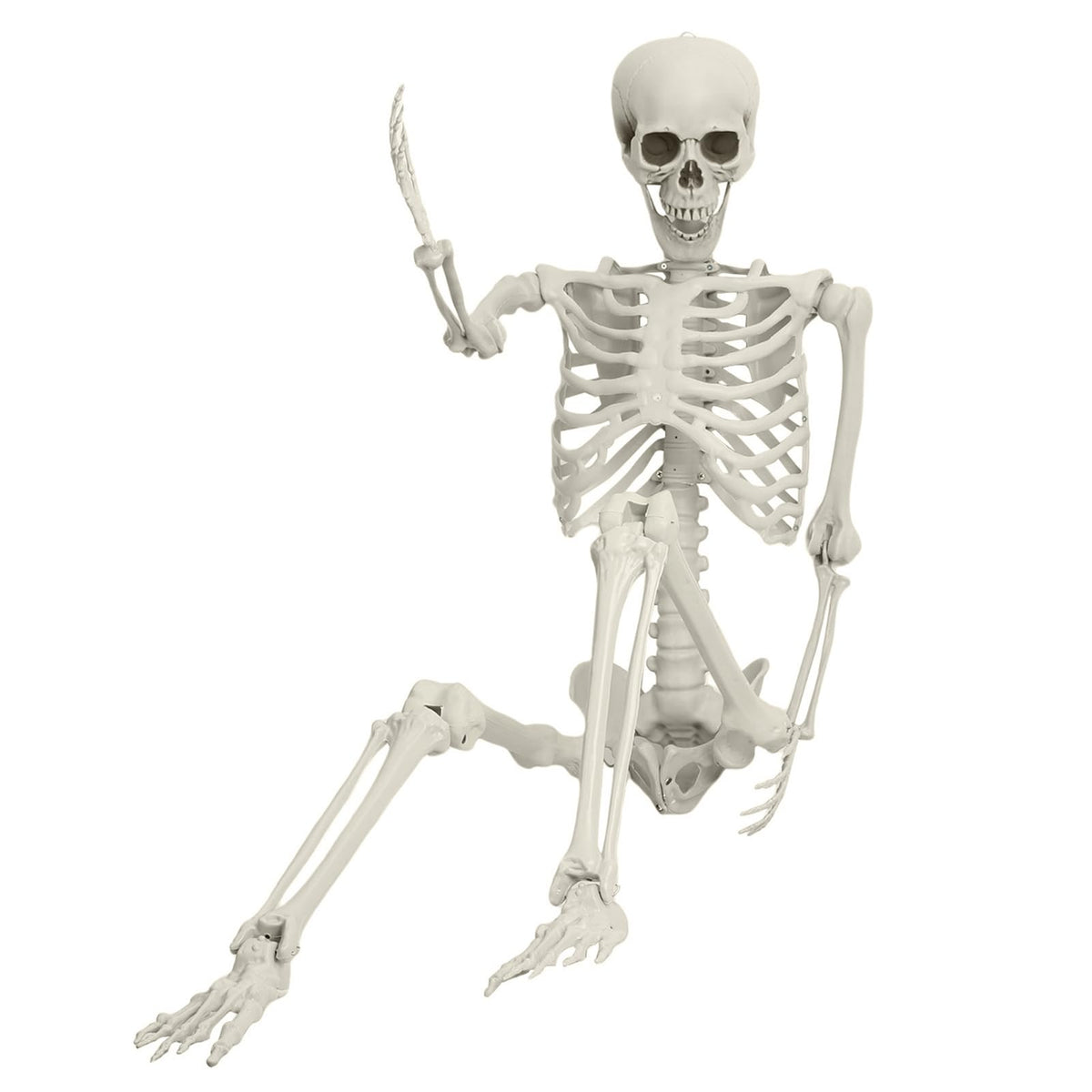 5.4ft White Posable Skeleton P9504