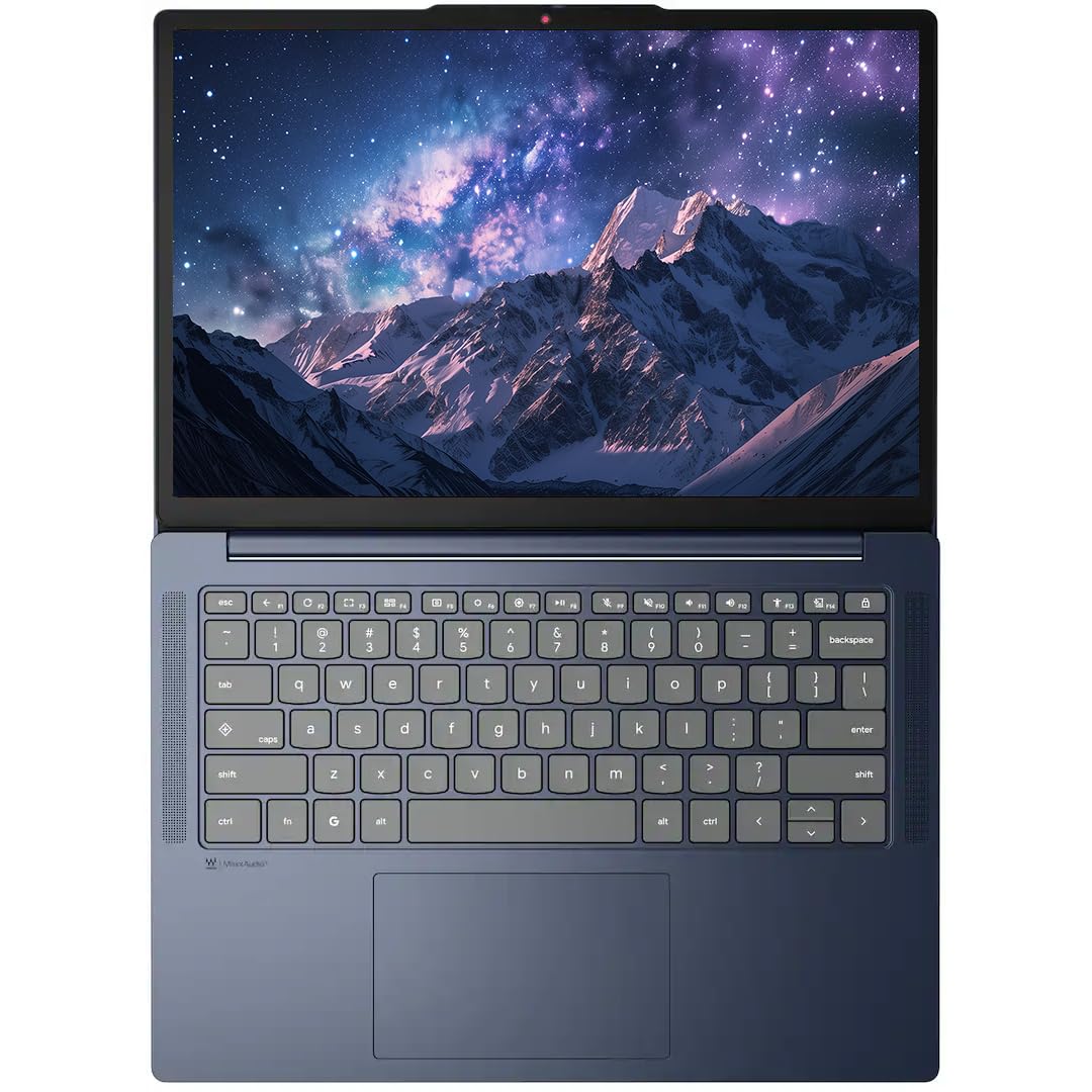 14" Touchscreen Chromebook C3295