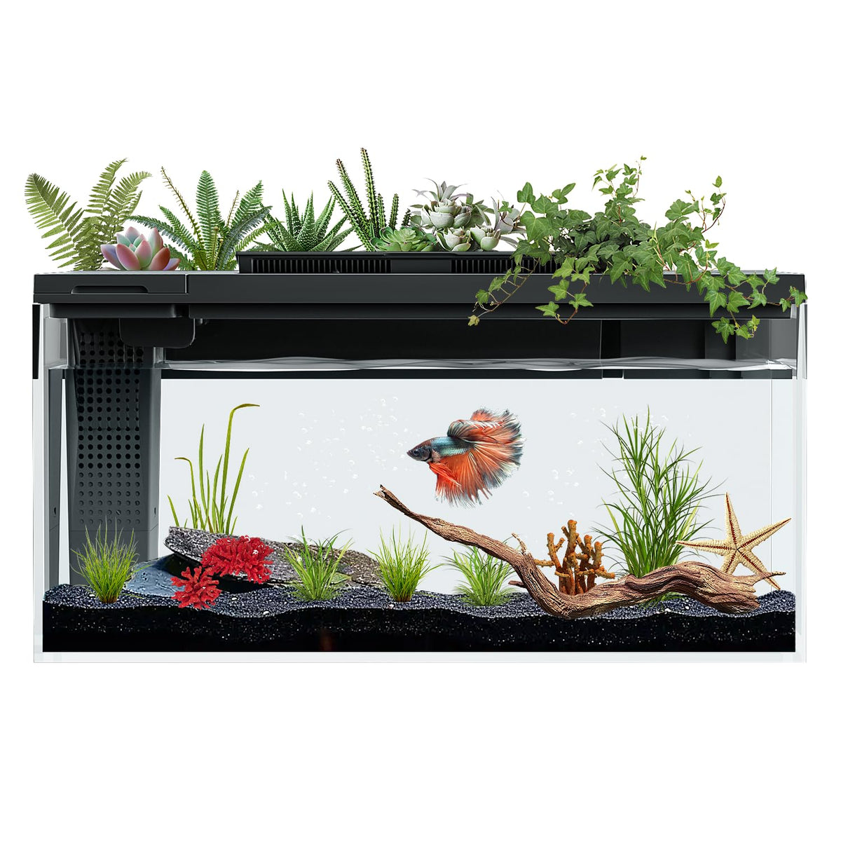 3.7 Gallon Betta Fish Tank Kit with Filter Light Water Pump M7628