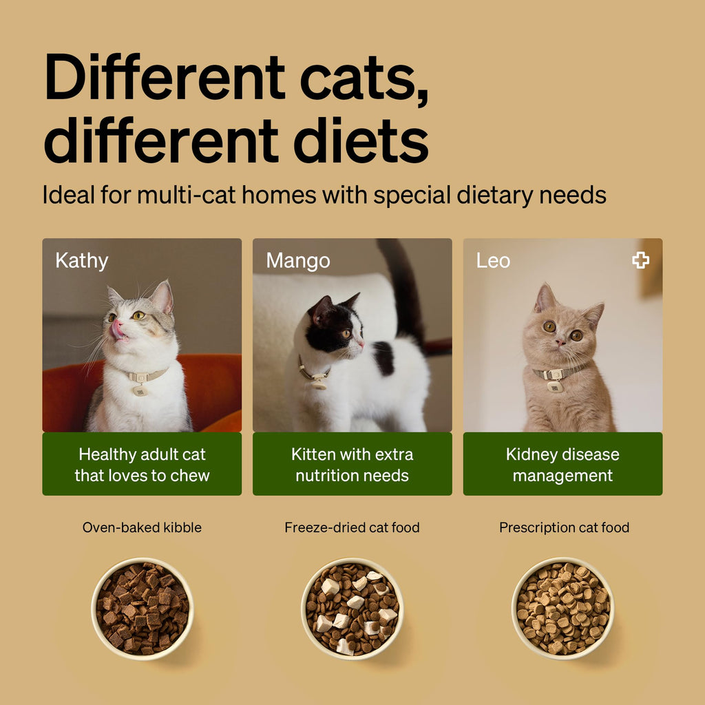 RFID Automatic Cat Feeders for 2 Cats J7264