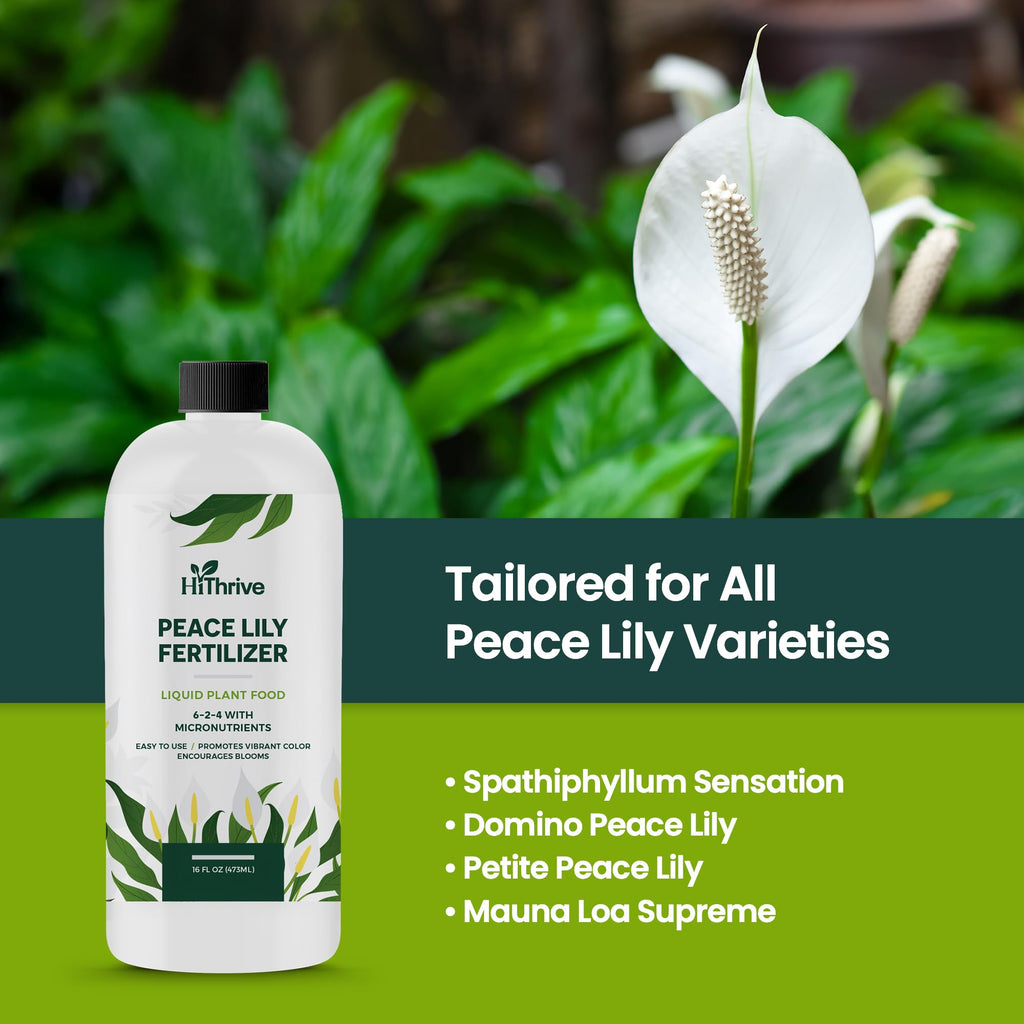 16oz Fertilizer T11457