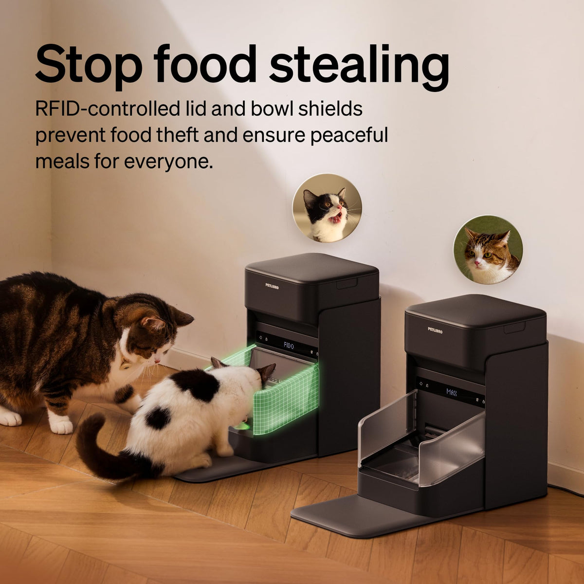 RFID Automatic Cat Feeders for 2 Cats J7264