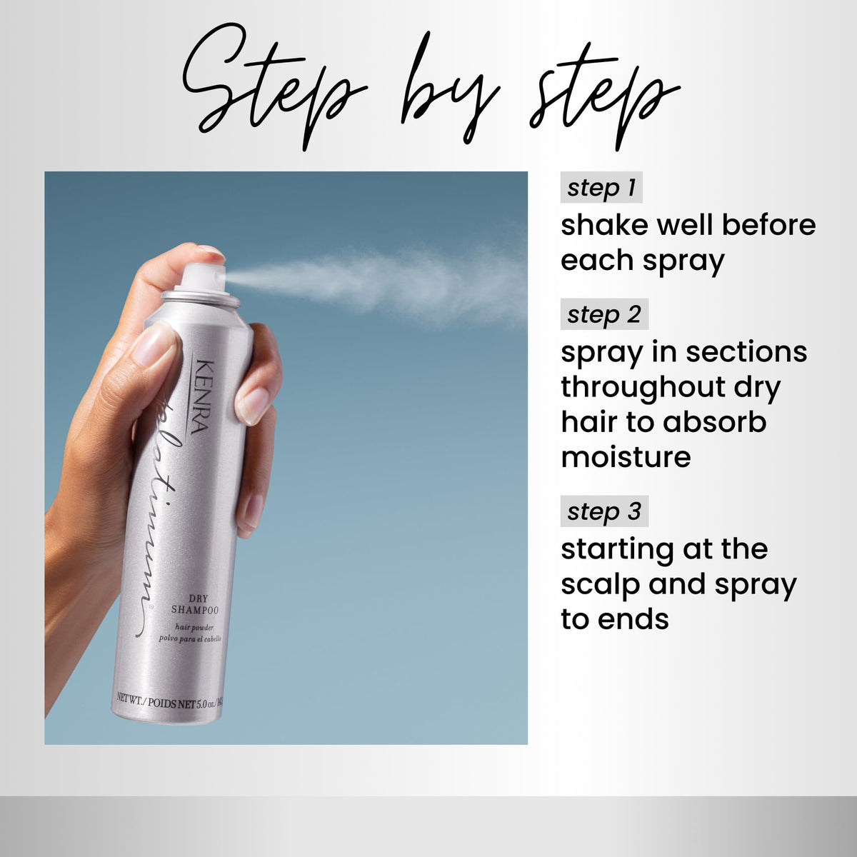 Oil Absorbing Dry Shampoo Spray E9294