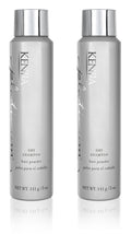 Oil Absorbing Dry Shampoo Spray E9294