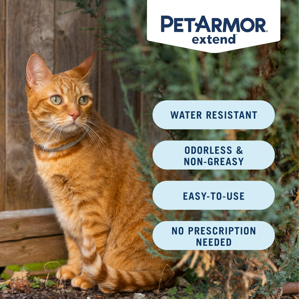 Flea & Tick Treatment & Prevention Collar for Cats J66153