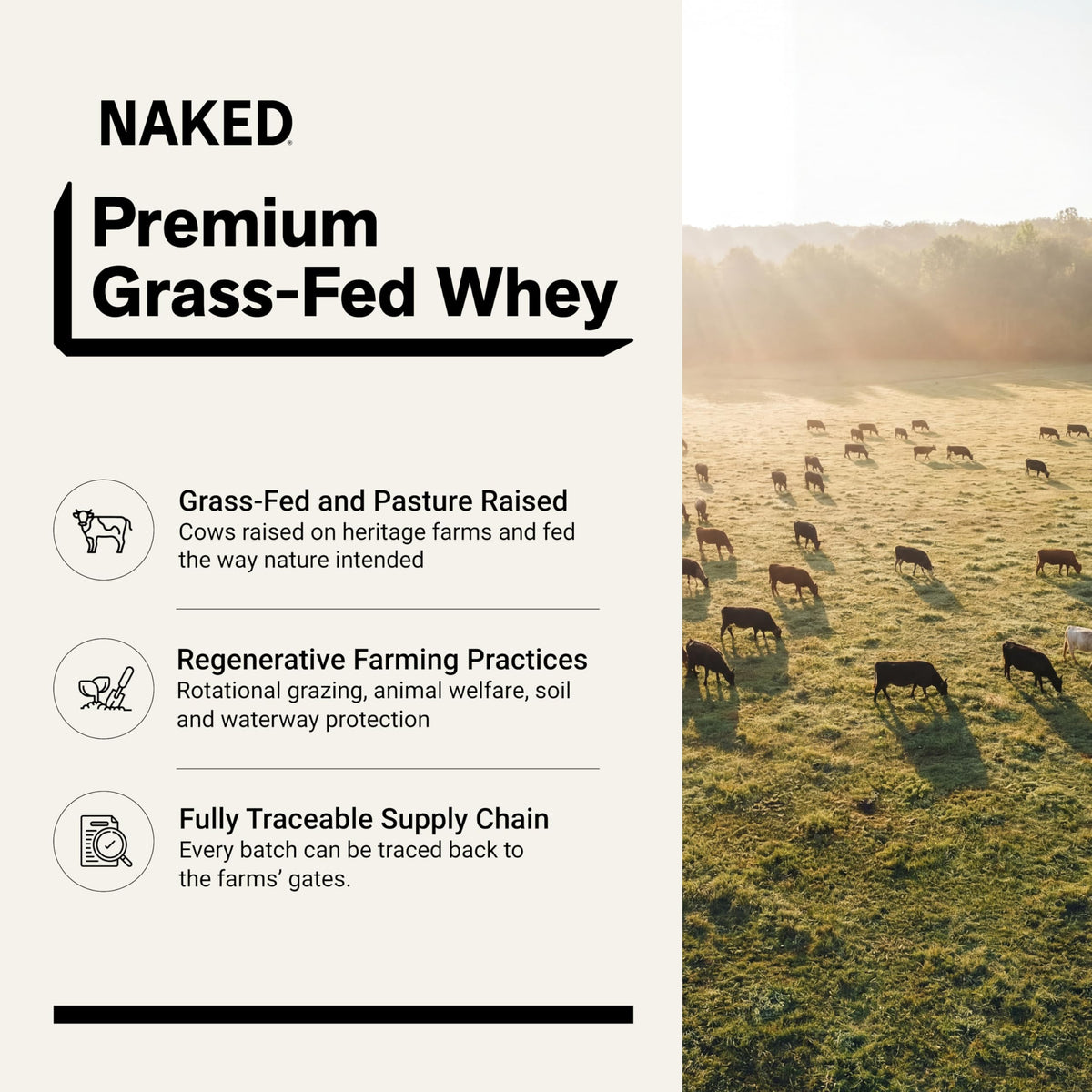 Chocolate Grass Fed Whey Protein Powder R6477