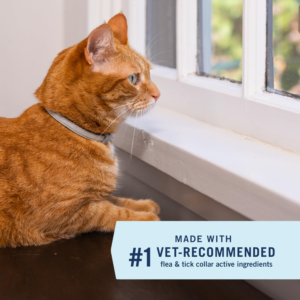 Flea & Tick Treatment & Prevention Collar for Cats J66153