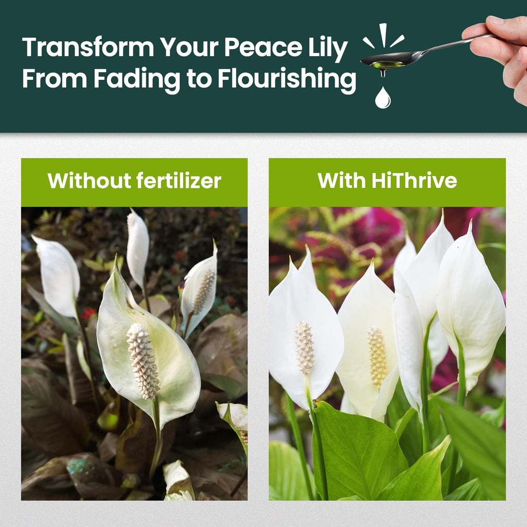 16oz Fertilizer T11457