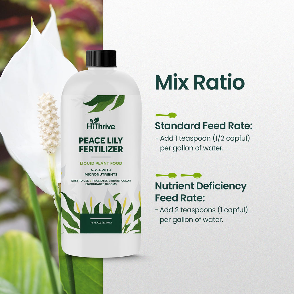 16oz Fertilizer T11457