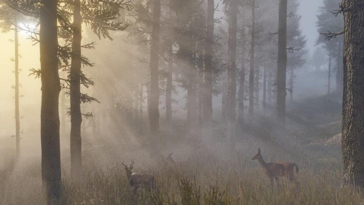Red Dead Redemption 2 PS4 R101