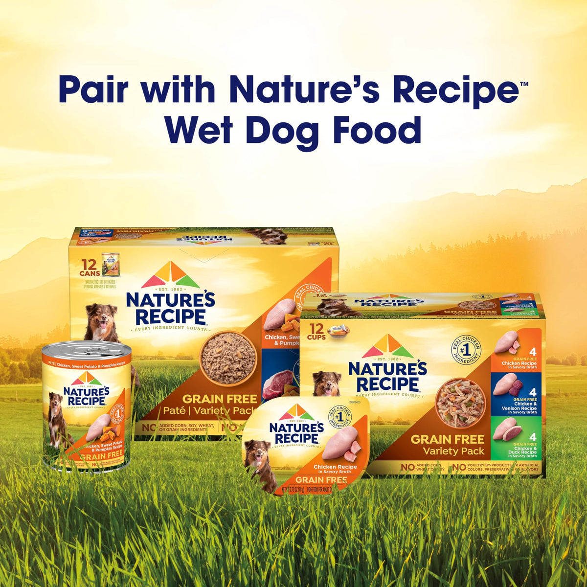 Grain Free Salmon Dry Dog Food 24 lb. Bag X227822